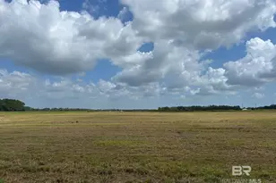 0 County Road 26, Foley, AL 36525 - Photo 12