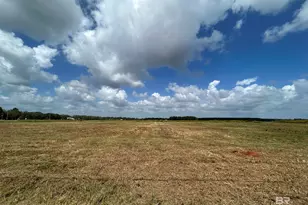 0 County Road 26, Foley, AL 36525 - Photo 6