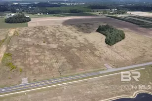 0 County Road 26, Foley, AL 36525 - Photo 10