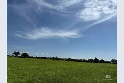 10010 Weeks Road, Foley, AL 36535 - Photo 4