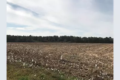 24050 N River Road, Daphne, AL 36526 - Photo 8