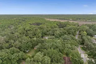 14165 River Oaks Dr, Coden, AL 36523 - Photo 28