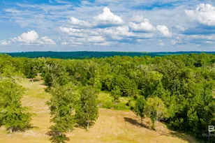 32164 State Hwy 225, Spanish Fort, AL 36527 - Photo 32