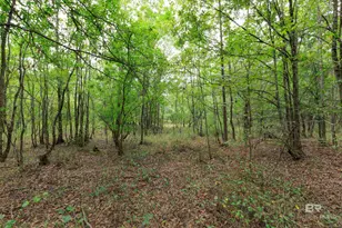 17440 Old Brady Rd, Bay Minette, AL 36507 - Photo 12