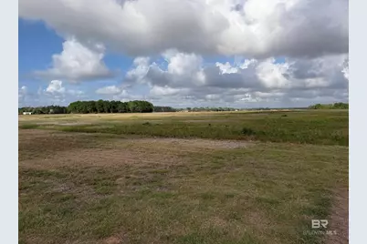 0 County Road 65, Foley, AL 36525 - Photo 8