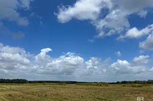 0 County Road 65, Foley, AL 36525 - Photo 2