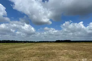 0 County Road 65, Foley, AL 36525 - Photo 4