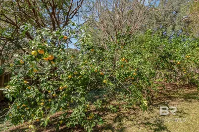 5912 Cansler Drive, Mobile, AL 36609 - Photo 46