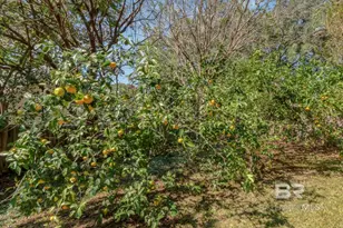 5912 Cansler Dr, Mobile, AL 36609 - Photo 46