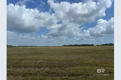 0 County Road 26, Foley, AL 36525 - Photo 2