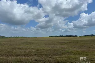 0 County Road 26, Foley, AL 36525 - Photo 2