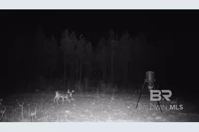 22544 Lechner Road, Robertsdale, AL 36567 - Photo 20