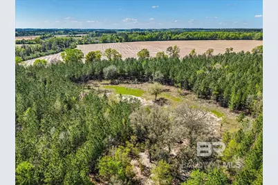 22544 Lechner Road, Robertsdale, AL 36567 - Photo 1