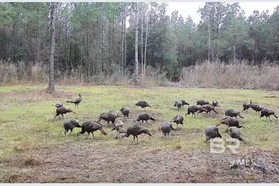 22544 Lechner Road, Robertsdale, AL 36567 - Photo 22