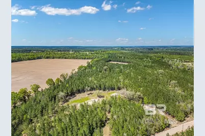 22544 Lechner Road, Robertsdale, AL 36567 - Photo 2