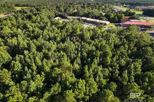 0 US Hwy 31, Bay Minette, AL 36507 - Photo 20