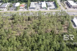 0 Canal Rd, Orange Beach, AL 36561 - Photo 4