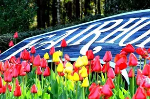 17487 Pandion Ridge, Fairhope, AL 36532 - Photo 16