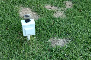 1887 Suavez Dr, Lillian, AL 36549 - Photo 4