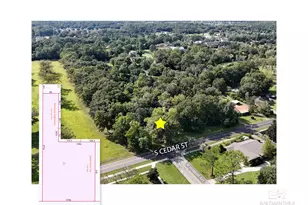 314 S Cedar St, Foley, AL 36535 - Photo 4