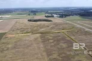 0 County Road 26, Foley, AL 36525 - Photo 8