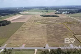 0 County Road 65, Foley, AL 36525 - Photo 2