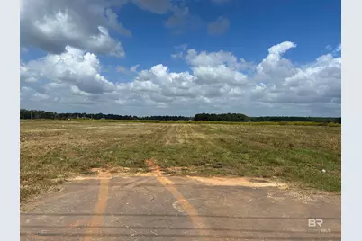 0 County Road 65, Foley, AL 36525 - Photo 4