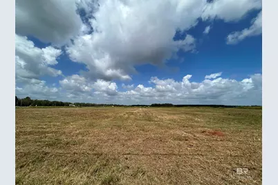 0 County Road 65, Foley, AL 36525 - Photo 6