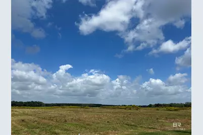0 County Road 65, Foley, AL 36525 - Photo 2