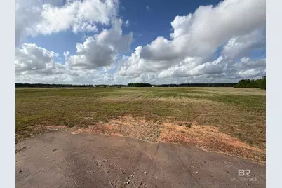 0 County Road 26, Foley, AL 36525 - Photo 14