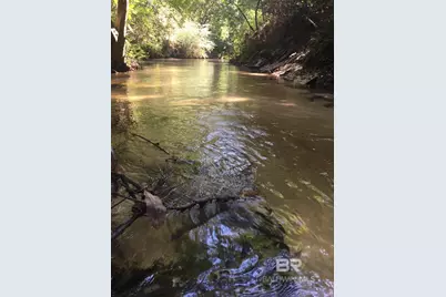 22580 Doc McDuffie Road, Foley, AL 36535 - Photo 2