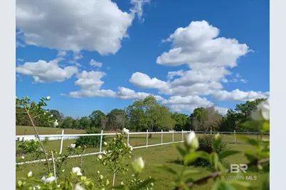 7650 Iron Rush Road, Wilmer, AL 36587 - Photo 6