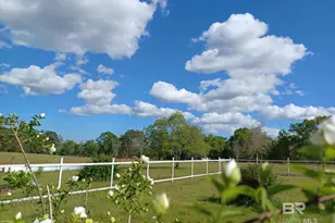 7650 Iron Rush Rd, Wilmer, AL 36587 - Photo 6