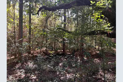 0 New Neck Road, Mobile, AL 36695 - Photo 1