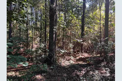 0 New Neck Road, Mobile, AL 36695 - Photo 4