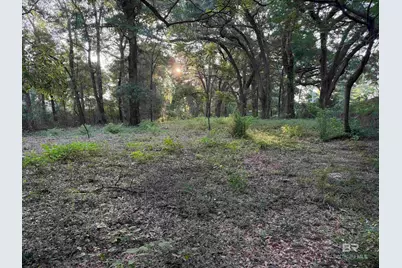 0 State Highway 225, Spanish Fort, AL 36527 - Photo 1