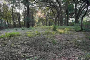 0 State Hwy 225, Spanish Fort, AL 36527 - Photo 1