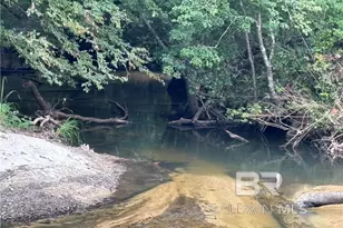0 Circle R Farm Dr, Florala, AL 36442 - Photo 24