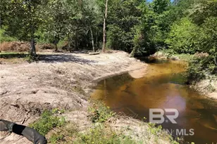 0 Circle R Farm Dr, Florala, AL 36442 - Photo 22