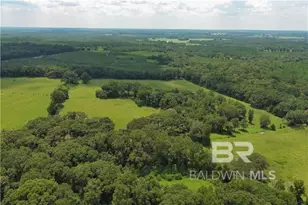 0 Circle R Farm Dr, Florala, AL 36442 - Photo 6