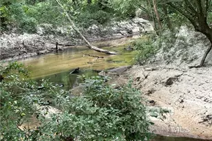 0 Circle R Farm Dr, Florala, AL 36442 - Photo 20