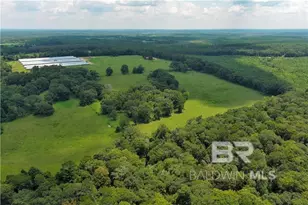 0 Circle R Farm Dr, Florala, AL 36442 - Photo 4