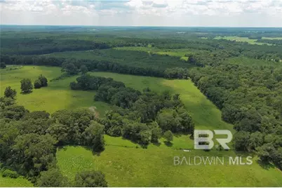 0 Circle R Farm Drive, Florala, AL 36442 - Photo 14