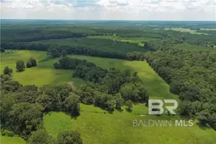 0 Circle R Farm Dr, Florala, AL 36442 - Photo 14