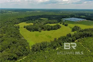 0 Circle R Farm Dr, Florala, AL 36442 - Photo 2