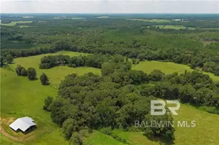0 Circle R Farm Dr, Florala, AL 36442 - Photo 16