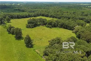 0 Circle R Farm Dr, Florala, AL 36442 - Photo 8