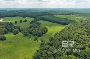 0 Circle R Farm Dr, Florala, AL 36442 - Photo 12
