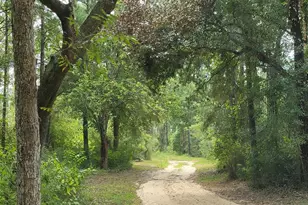 17505 Hansel Hodges Rd, Elberta, AL 36530 - Photo 1