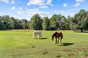 22506 Doc McDuffie Rd, Foley, AL 36535 - Photo 58